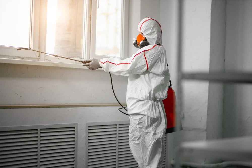 Professional mold remediation services in Cedar Key, FL